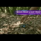 Terralux 500000mAh 防水ソーラーパワーバンク ポータブル