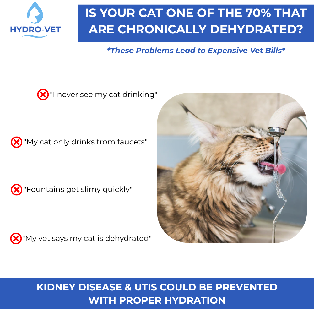 SilenceFlow eläinlääkintätason lemmikkiallas hiljainen ja helppo puhdistaa