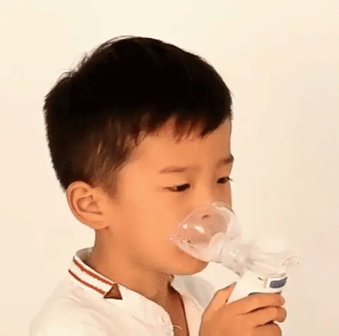 BreezeNova Portable Nebulizer Rechargeable Ultrasonic