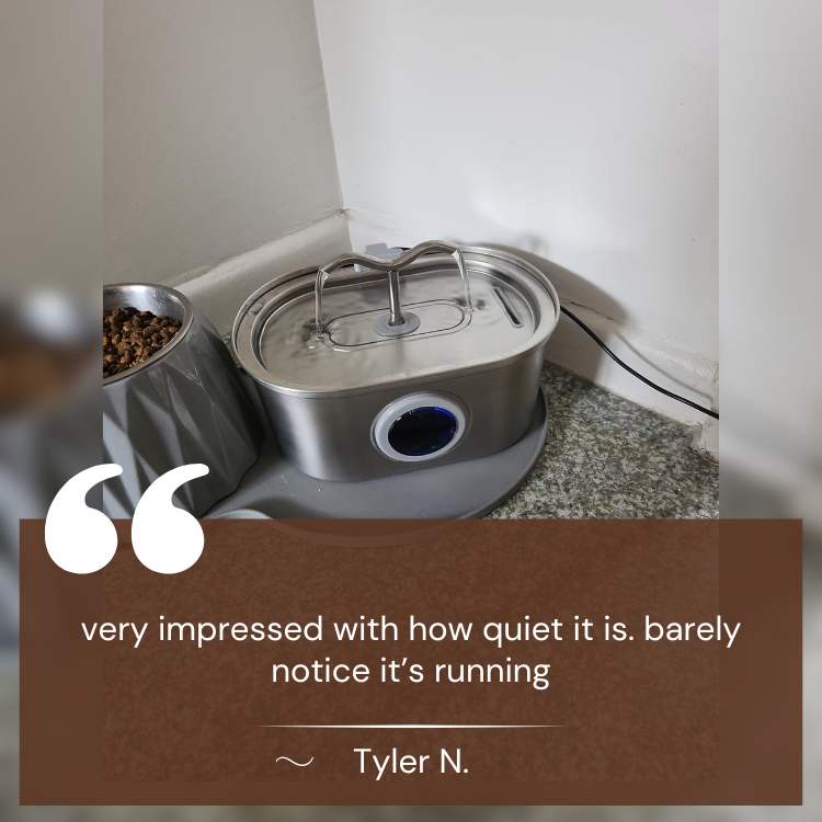 Fuente silenciosa de acero inoxidable para gatos para hidratación saludable