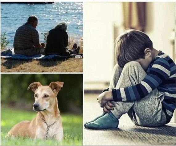 OrbitTag Nano Magnetic Global GPS Tracker For Vehicles