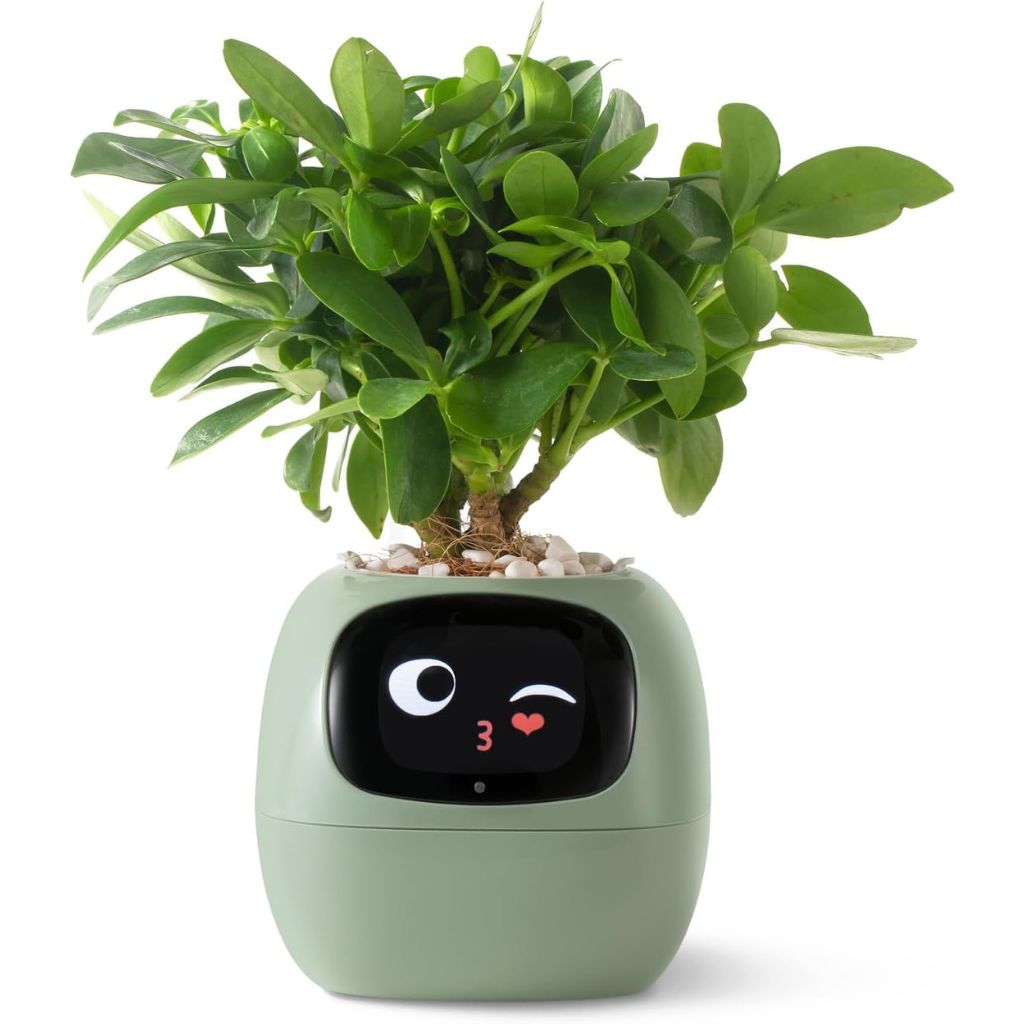NexiLeaf Smart Planter With 70 Animations Alexa Connected