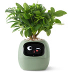 NexiLeaf Smart Planter With 70 Animations Alexa Connected