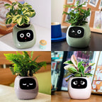 NexiLeaf Smart Planter With 70 Animations Alexa Connected