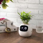 NexiLeaf Smart Planter With 70 Animations Alexa Connected