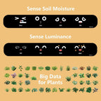 NexiLeaf Smart Planter With 70 Animations Alexa Connected