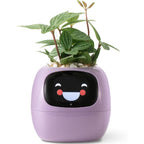 NexiLeaf Smart Planter With 70 Animations Alexa Connected