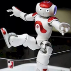NovaLink AI Robot: Advanced Humanoid Companion for Home