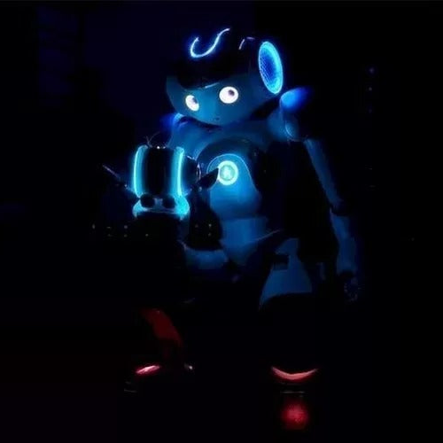 NovaLink AI Robot: Advanced Humanoid Companion for Home