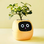 NexiLeaf Smart Planter With 70 Animations Alexa Connected