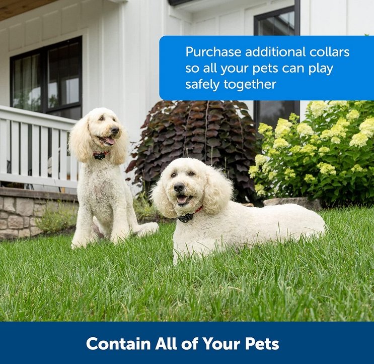 Collare per cane wireless Kairo, impermeabile e ricaricabile